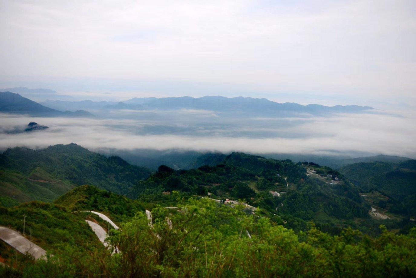 林瑞阳又惹上官司，遭富婆起诉诈骗玩失踪，怎么回事？游戏画面