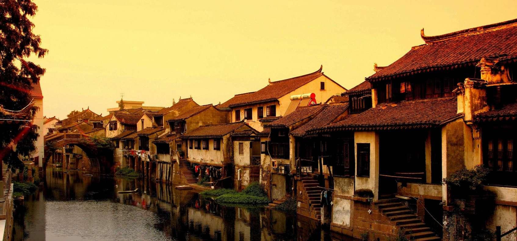 僵尸跳跳跳