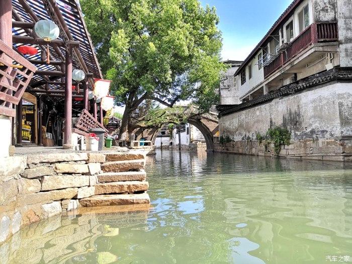 动物帮帮忙保卫家园